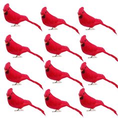 twelve red birds with black eyes are standing in the same direction on a white background