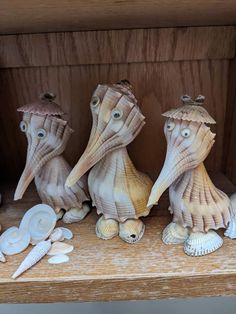 three seagulls sitting on top of a shelf next to shells and seashells