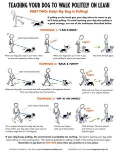 an instruction for how to walk a dog