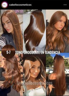 5.68 Hair Color, Hair Matches Skin Tone, Hair Colour For Asian Skin, Best Hair Color For Light Olive Skin, Light Brown Chestnut Hair, Blonde Chocolate Hair, Cinnamon Brown Hair Colors, Chocolate Brown Hair On Tan Skin, Mix Hair Color Ideas