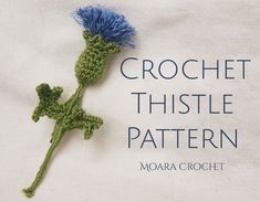 crochet thistle pattern with blue flower on white background and text that reads, crochet thistle pattern