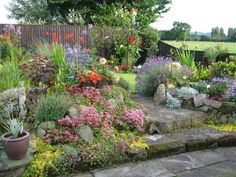 a garden filled with lots of different types of flowers