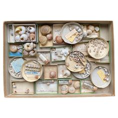 a box filled with lots of different types of seashells