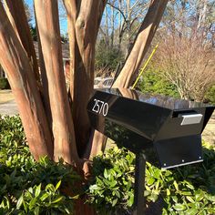 a black mailbox sitting next to a tree