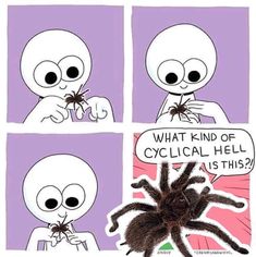 an image of a spider in the middle of four different pictures with caption that reads, what kind of cyclical hell is this?