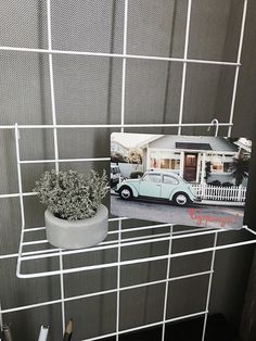 a magazine is sitting on top of a shelf next to a potted plant and pen