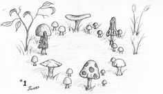 a pencil drawing of mushrooms in the grass