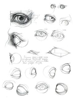 various types of eyes and how to draw them