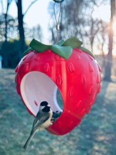 a bird feeder hanging from the side of a tree with a red strawberry shaped object attached to it