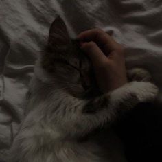 a person is sleeping with their hand on the cat's head