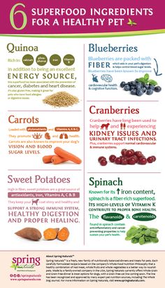 the health benefits of carrots and blueberries are shown in this info sheet, which includes