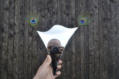 a hand holding a camera taking a photo of a peacock's reflection in a mirror