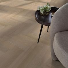 a living room scene with focus on the coffee table and chair that has a plant in it