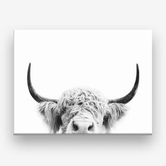 a black and white photo of a bull with large horns