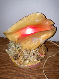 a bowl filled with shells on top of a wooden table next to a light bulb