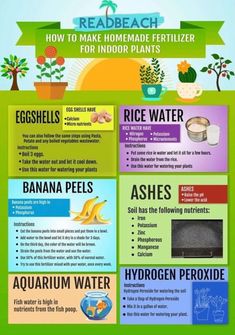 the benefits of water for plants and how to use it in your home info board