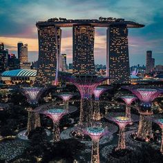 an aerial view of the gardens by night in singapore, with skyscrapers lit up