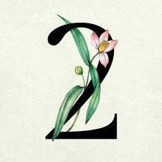 the letter e is painted with flowers and leaves on it's lowercases