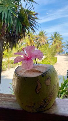 a pink flower in a coconut shell on a wooden table with palm trees behind it