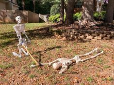 a skeleton laying on the ground in front of a house with trees and bushes behind it