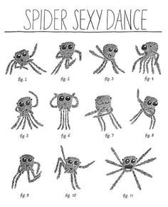 Jumping Spider Tattoo, Spider Cartoon, Spider Dance, Let's Make Art