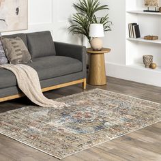 a living room with a gray couch and rug