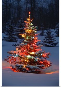 a lit christmas tree in the middle of a snow covered field with evergreen trees behind it