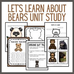 bear unit study with pictures and instructions for students to learn how to use bears in the classroom