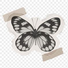 a black and white butterfly with torn paper on it's wings, hd png