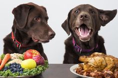 two dogs sitting next to each other at a table with plates of food in front of them