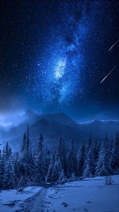 the night sky is filled with stars and clouds, while trees are covered in snow