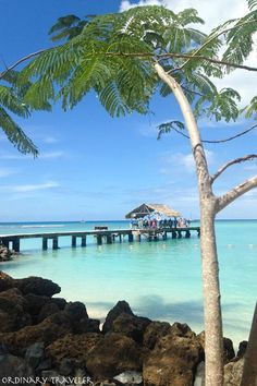 a pier on the ocean with palm trees