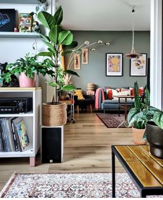 a living room filled with furniture and lots of plants