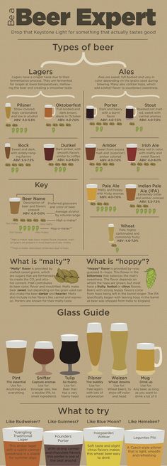 an info sheet with different types of beer in each glass and the text below it