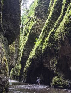 a person standing in the middle of a river surrounded by mossy rocks and trees