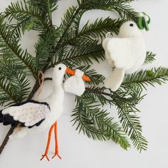 two white birds are hanging from a branch with green needles and pine cones on it