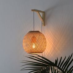 a light that is on the wall next to a plant