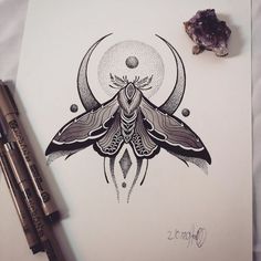 a drawing of a moth sitting on top of a piece of paper next to a pen