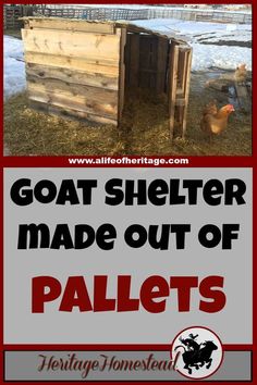 a goat shelter made out of pallets with text overlay that reads goat shelter made out of pallets