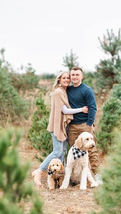 Dog Christmas Outfit Photo Ideas, Christmas Card With Dogs Couple, Family Dog Christmas Pictures, Winter Photos With Dogs, Tree Farm Photo Shoot With Dog, Christmas Family Photoshoot With Dog, Dog Family Christmas Pictures, Couple Photos With Dogs Christmas