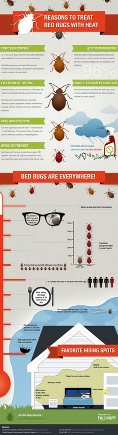 Visualizing Dirty Jobs - Do you fancy an infographic? There are a lot of them online, but if you want your own please visit http://www.linfografico.com/prezzi/ Online girano molte infografiche, se ne vuoi realizzare una tutta tua visita http://www.linfografico.com/prezzi/ Kill Bed Bugs, Svg Fonts, Stomach Problems, Hiding Spots, Clothes Dryer