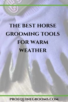 gloves with text that reads the best horse grooming tools for warm weather and cold weather