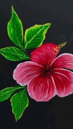 a painting of a pink flower with green leaves on a black background and the image is painted in acrylic paint