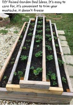 a garden bed made out of wooden boards and some plants growing in the ground with text overlay that says diy raised garden bed ideas it's easy to care for, it's convenient to trim