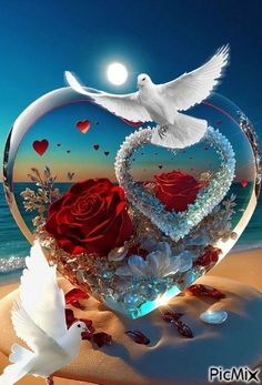 two white doves flying in front of a heart shaped glass sculpture with roses on the beach