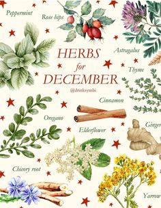 Yule Information, Yule Herbs, Seasonal Witchcraft, Medicinal Herbs Remedies, Yule Traditions, Kitchen Witch Recipes, Happy Winter Solstice, Pagan Spirituality