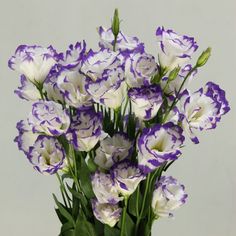 a vase filled with purple and white flowers