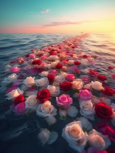 there are many roses floating in the water at this time of day and night,