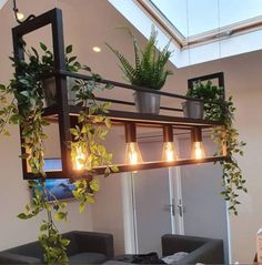 a living room filled with lots of furniture and plants hanging from the ceiling above it