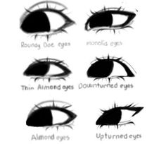 an image of different types of eyes